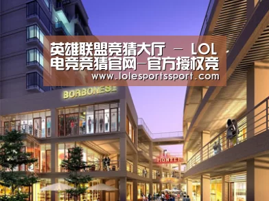 案例展示一(图1)