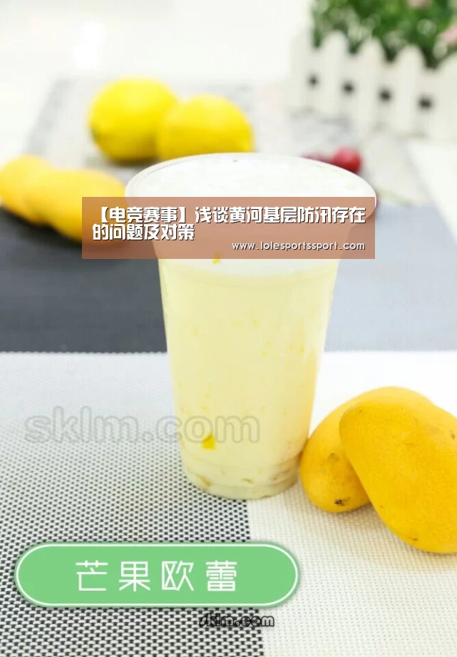 【电竞赛事】浅谈黄河基层防汛存在的问题及对策(图3) 英雄联盟竞猜大厅 - LOL全球总决赛下注官方网站