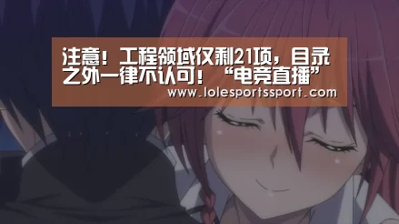 注意!工程领域仅剩21项,目录之外一律不认可!“电竞直播”(图3) 电竞直播
