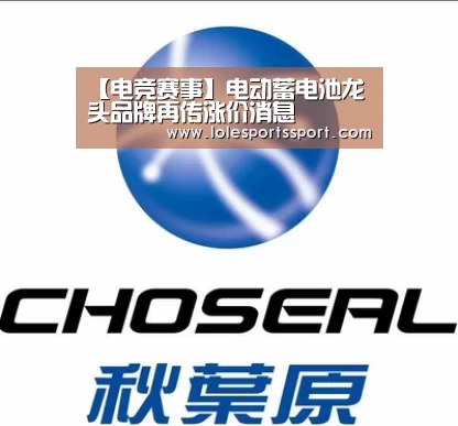 【电竞赛事】电动蓄电池龙头品牌再传涨价消息(图3) 电竞直播